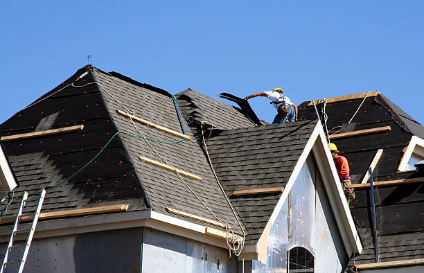 Best Roof Moss and Algae Removal  in Lakeview, GA